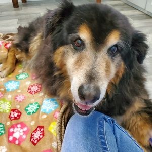 Meet your Posher, Dj